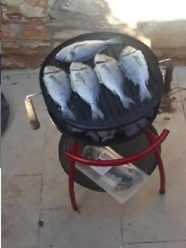 Prices Nini With Private Pool, Barbecue,bike, Fireplace, And Much *