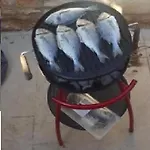 Prices Nini With Private Pool, Barbecue,bike, Fireplace, And Much *