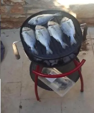 Prices Nini With Private Pool, Barbecue,bike, Fireplace, And Much *